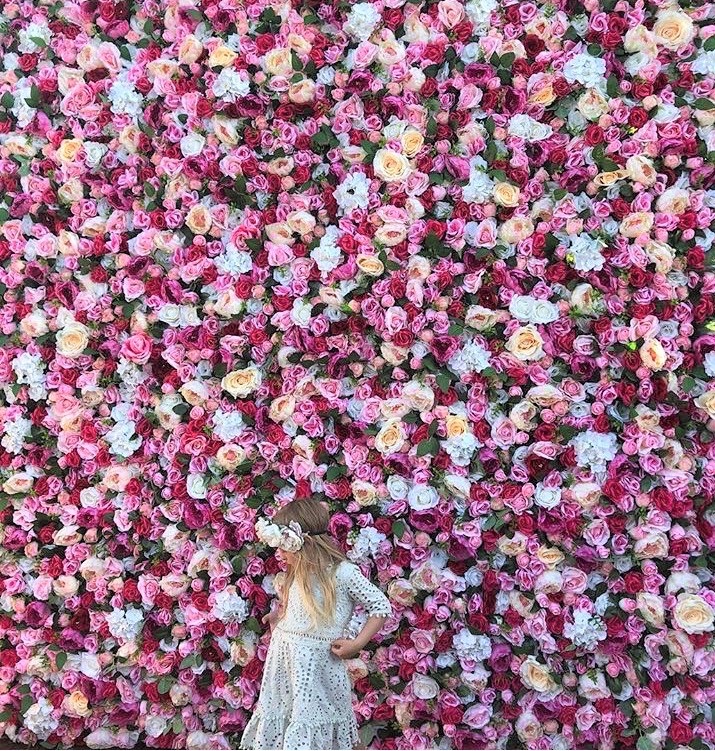 Dior flower HD wallpapers  Pxfuel